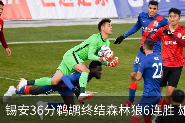 锡安36分鹈鹕终结森林狼6连胜 雄鹿险胜公牛